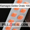 Kamagra Gelée Orale 100 26